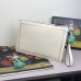 Gucci Guccy Leather Pouch ‎510489 White/Gold 2018