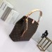 Louis Vuitton Graceful Hobo PM Bag Monogram Canvas M43700 Pivoine 2018