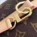 Louis Vuitton Monogram Canvas Speedy Bandoulière 25 Bag M41113 Shiba Dog 2018