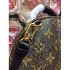 LOUIS VUITTON BACKPACK M42971