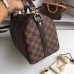 louis vuitton speedy 25 Damier ebene Canvas n41365