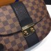 Louis Vuitton Damier Ebene Canvas With Stripe Taurillon Leather Wight Bag N64418 Black 2017