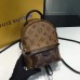 Louis Vuitton Palm Monogram Canvas Mini Backpack M41562 Brown 2017