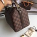 Louis Vuitton Damier Ebene Canvas Speedy Bandoulière 25 N41368