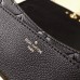 Louis Vuitton Blanche BB Handbag M43624 Noir 2018