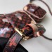 Louis Vuitton Catogram Monogram Canvas Paname Set Bag M44399 Brown 2018