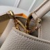 Louis Vuitton Capucines PM Bag Central Stripe Python Galet