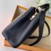 Louis Vuitton Capucines BB Bag Central Stripe Crocodile Black