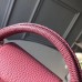 Louis Vuitton Capucines Mini Bag Lizard Handle N94049 Colchique