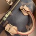 Louis Vuitton Monogram Canvas and Reverse Speedy 25 Bandouliere Bag M41113 2019