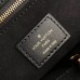 Louis Vuitton Monogram Canvas City Frame Bag 2019