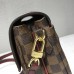 Louis Vuitton Damier Ebene Canvas Clapton PM Bag N44242 Raisin 2018