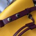 Louis Vuitton Epi Leather NeoNoe Bag M54369 Yellow 2018