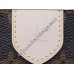 LOUIS VUITTON 2010 MONOGRAM CANVAS DELIGHTFUL MONOGRAM PM