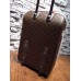 LOUIS VUITTON MONOGRAM CANVAS PEGASE 55 BUSINESS LUGGAGE