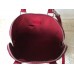 Louis Vuitton Epi Leather Alma PM M52142 Bordeaux