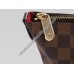 Louis Vuitton Damier Ebene Canvas Saleya PM