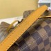 Louis Vuitton Neonoe Bag Damier Ebene N40213