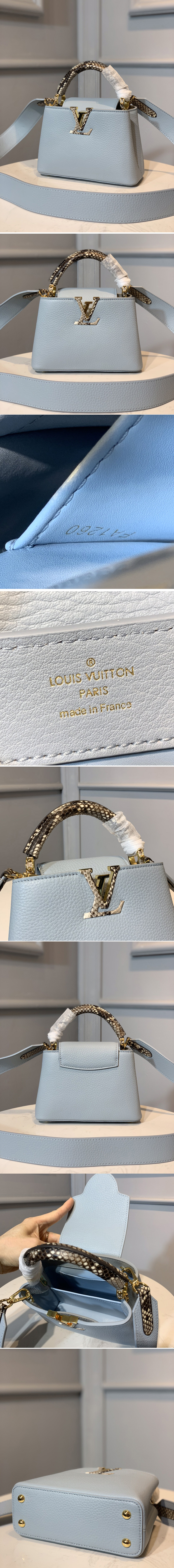 Louis Vuitton Capucines mini (N98477)